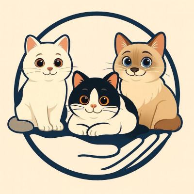 三毛運動恢復室｜打造身體回彈力的結構調理專家